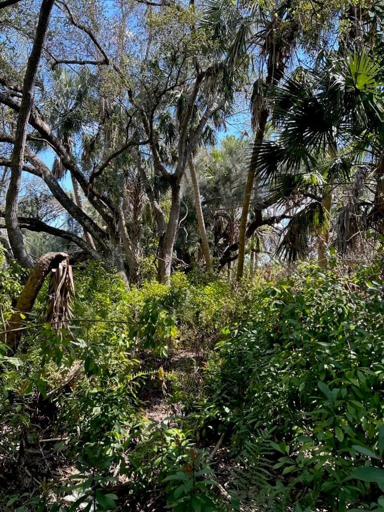 ACREAGE - Land