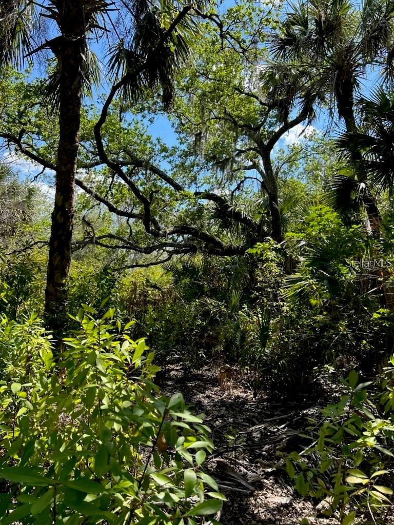 ACREAGE - Land