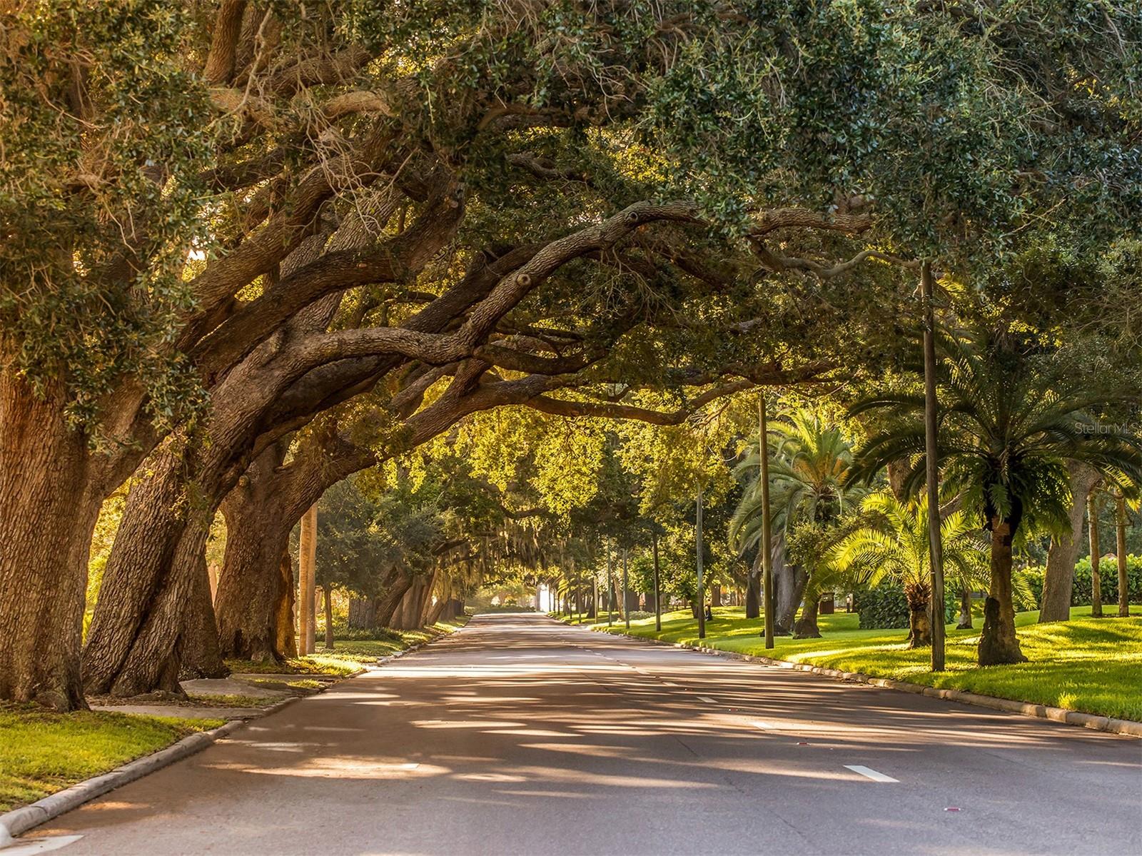 SARASOTA NATIONAL PH 3 - Residential