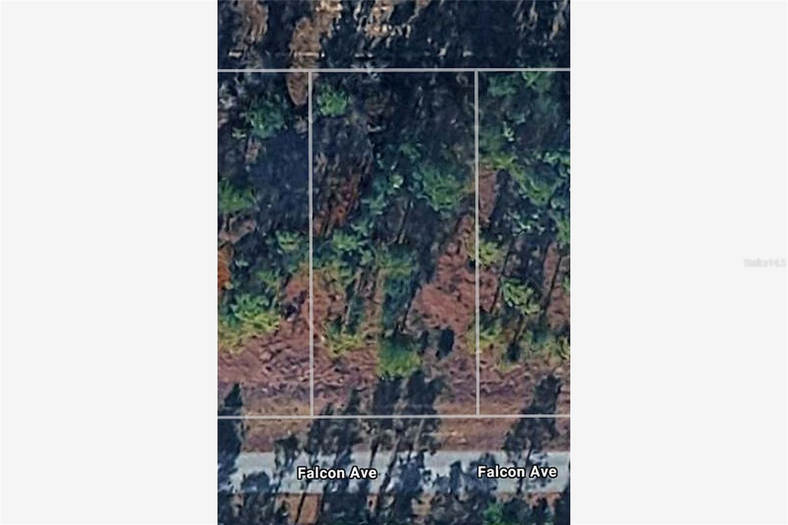 RAINBOW LAKES ESTATE - Land