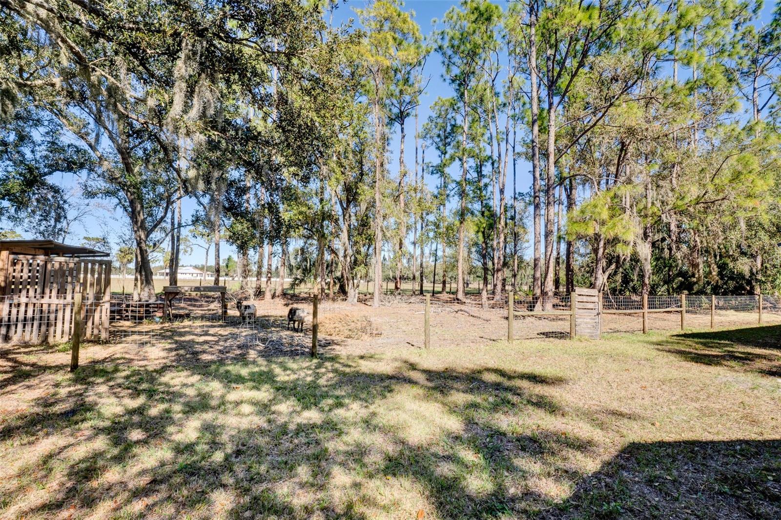 RAINBOW RANCH ACRES - Residential