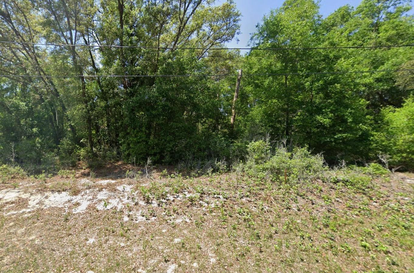 Build your Florida dream home on this .23-acre wooded homesite in Silver Springs Shores, surrounded by attractive homes and the natural beauty of Marion County. Be sure to scroll through all the photos to get a feel for the neighborhood and see examples of homes already built in the surrounding area.
Located near beautiful Lake Weir, you'll enjoy easy access to boating, fishing, waterfront dining and outdoor recreation while still being convenient to shopping, dining and everyday necessities.
The lot is located on a paved road with electric available nearby; septic will be needed. Whether you're ready to build or looking for an investment for the future, this is an opportunity to own a piece of Central Florida at an affordable price.
Bring your builder, your plans and your vision!
Buyer to verify zoning, utilities, building requirements, lot dimensions and any community restrictions.