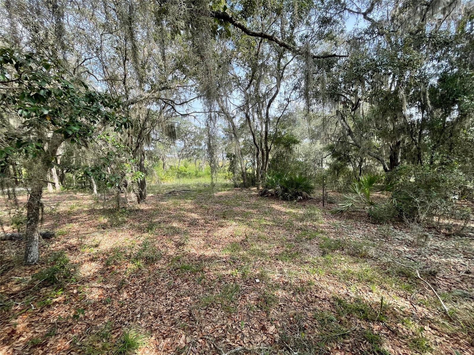 RAINBOW LAKES ESTATES - Land