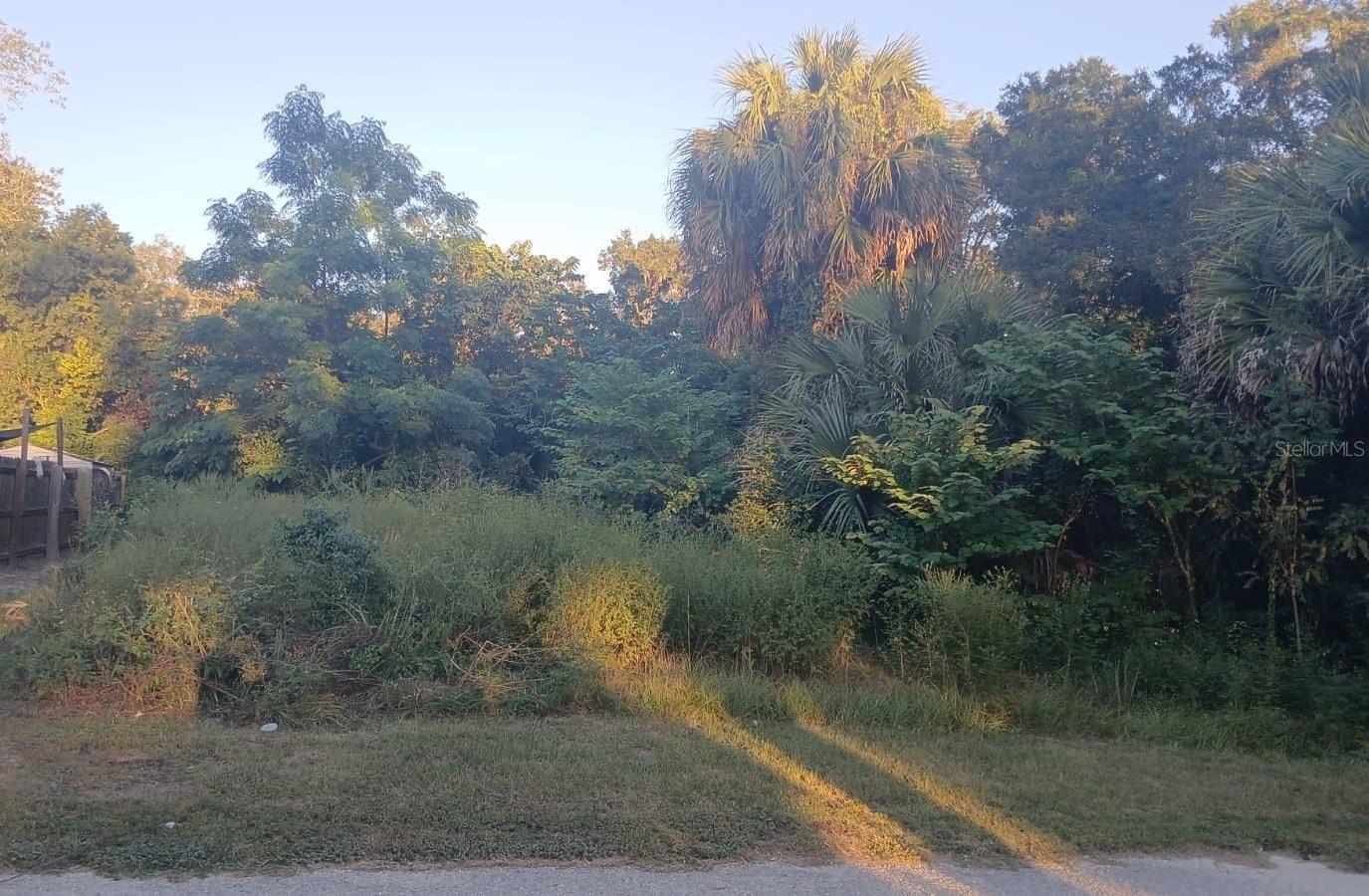 DISCOVER A GREAT OPPORTUNITY IN OCALA, FLORIDA! Located at 425 NW 12th Avenue, this vacant residential lot presents an exciting opportunity for buyers looking to establish a future homesite or expand their real estate investment portfolio. Featuring approximately 3,480 square feet (0.08 acre) with R2 zoning, the property is situated in an established neighborhood with convenient access to shopping, dining, schools, parks, and everyday amenities. A residential structure previously occupied the property and has since been demolished, creating an opportunity to explore new possibilities for this location. According to available property information, public water and sewer services are indicated for this location, potentially adding convenience for future development. Buyers should verify utility availability, existing connections, service requirements, and applicable fees with the utility provider. Enjoy the convenience of being near downtown Ocala and the many attractions of Central Florida, including beautiful natural surroundings, recreational destinations, and the area's renowned equestrian lifestyle. Whether you're planning a future residential project or considering land ownership as a long-term investment, this property is worth exploring. Don't miss the chance to make this piece of Ocala your own! Buyer and buyer's agent should independently verify zoning, permitted uses, buildability, minimum lot size requirements, setbacks, utilities, impact fees, and all property information with the appropriate authorities.