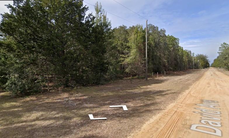 INTERLACHEN LAKES ESTATES - Land