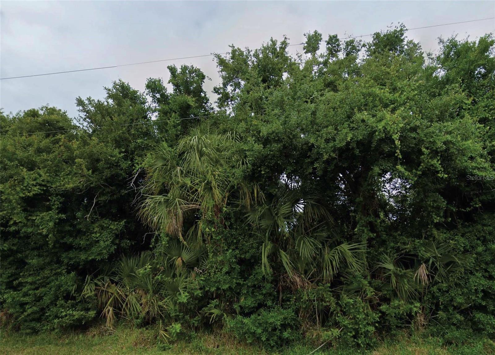 Build your Florida home in the desirable Englewood area! This approximately 0.23-acre vacant residential lot is located in Port Charlotte  is zoned RSF3.5 for residential use. The property offers a convenient location near S McCall Road, providing easy access to shopping, dining, parks, libraries, and everyday amenities. Enjoy being just minutes from Tringali Park, Englewood Charlotte Library, and the Gulf Coast. Situated in a peaceful residential area with convenient access to major roads, this lot offers an excellent opportunity to build a home in Southwest Florida. The property is located in Flood Zone X. All information is deemed reliable but should be independently verified.