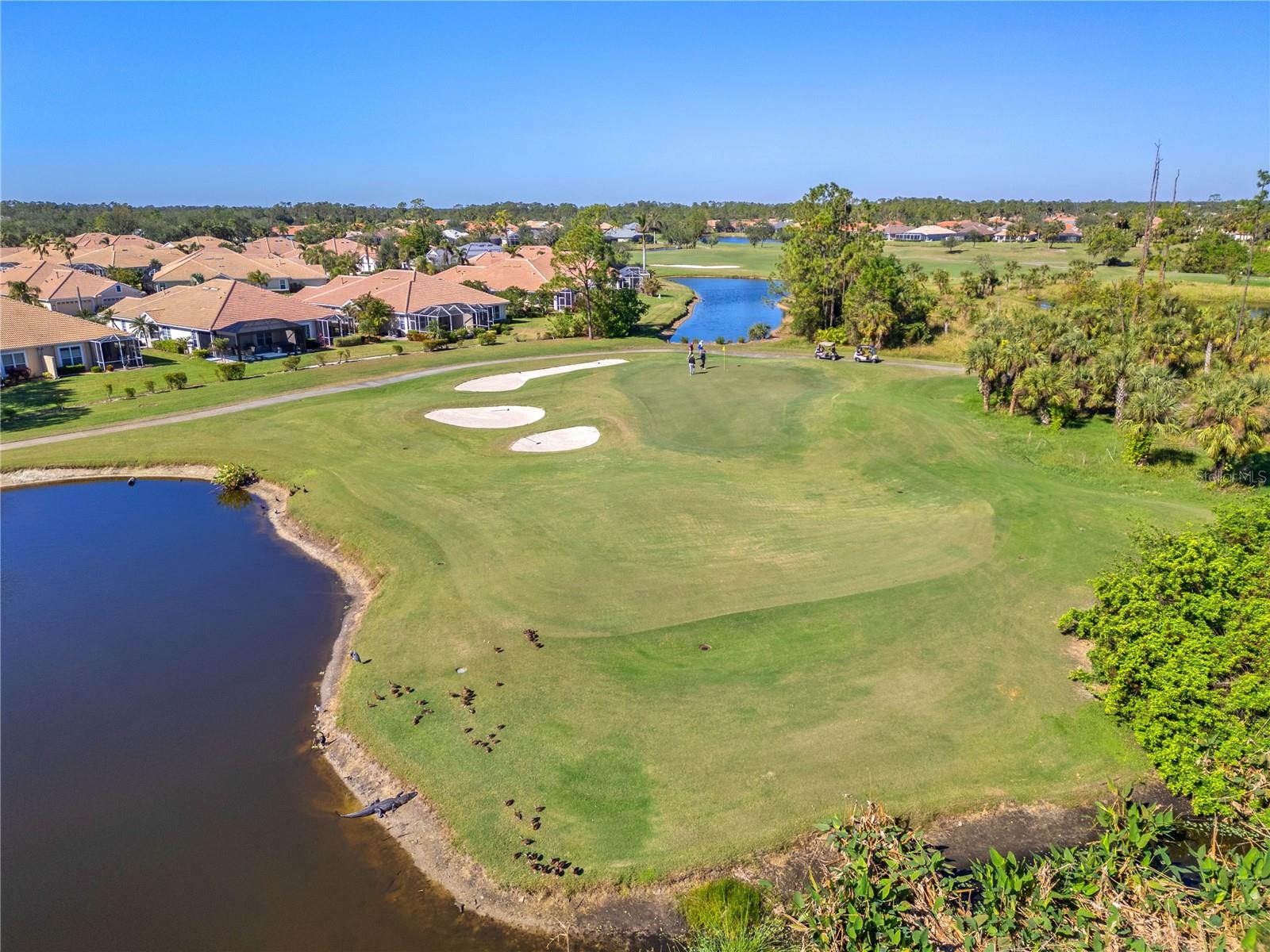 HERON CREEK - Residential