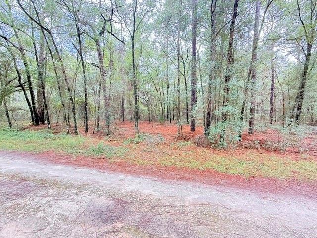 Build your Florida dream in Rainbow Park! This vacant residential property consists of Lot 7 and Lot 8, Block 231, in Rainbow Park Unit 4 in western Marion County. Zoned R-1, the property allows a site-built home or qualifying Florida Building Code–approved modular home, subject to applicable permitting and development requirements.

Enjoy the appeal of a country setting with shopping, dining, and everyday conveniences in Ocala and Dunnellon. The surrounding area offers plenty to explore, including swimming, kayaking, and nature trails at Rainbow Springs State Park, plus equestrian events, dining, and shopping at the World Equestrian Center. Bring your home plans and discover the possibilities this property offers! Buyer to verify utilities, access, lot dimensions, applicable deed restrictions, and suitability for intended use.
29°10.650000'N 82°22.416667'W