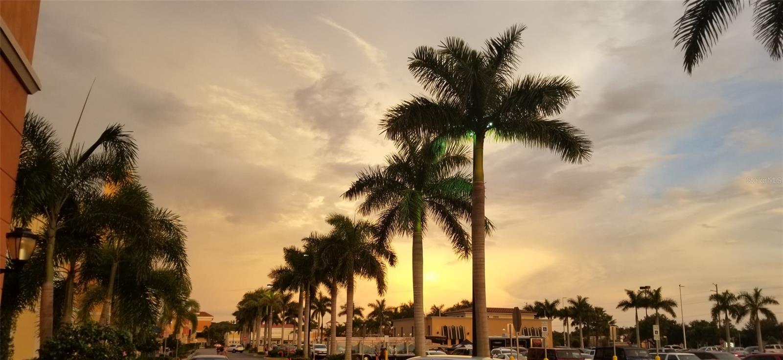 PORT CHARLOTTE 12 REP 01 - Land
