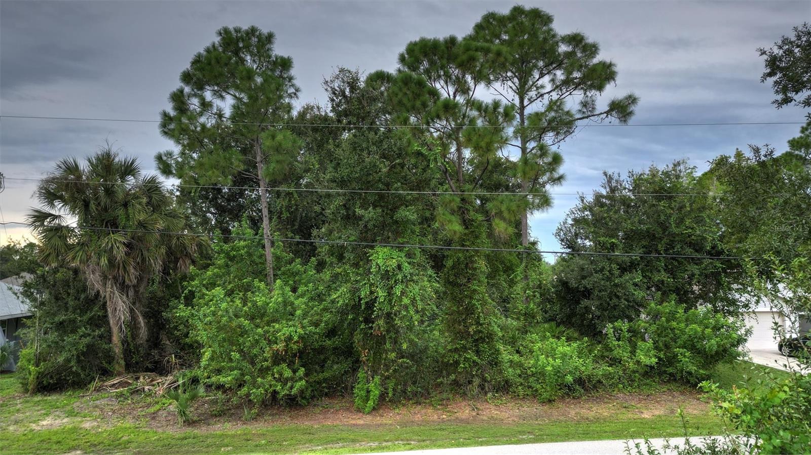 PUNTA GORDA ISLES SEC 20 - Land