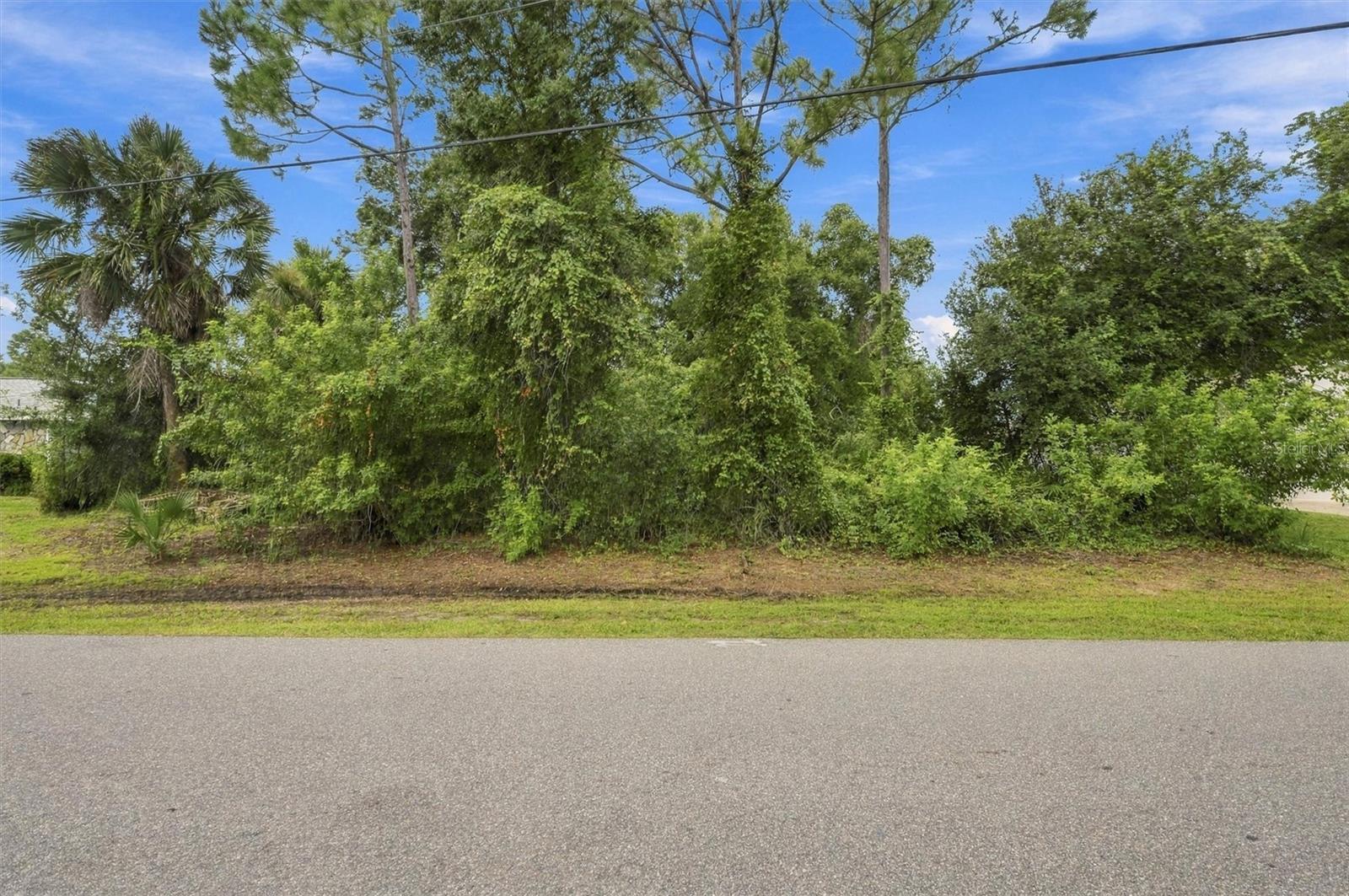 PUNTA GORDA ISLES SEC 20 - Land