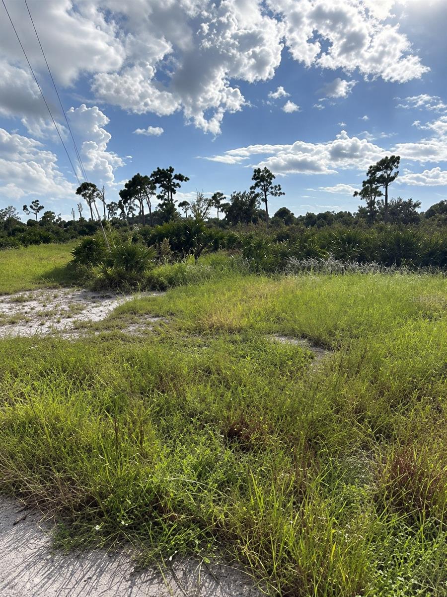 ROTONDA SANDS - Land