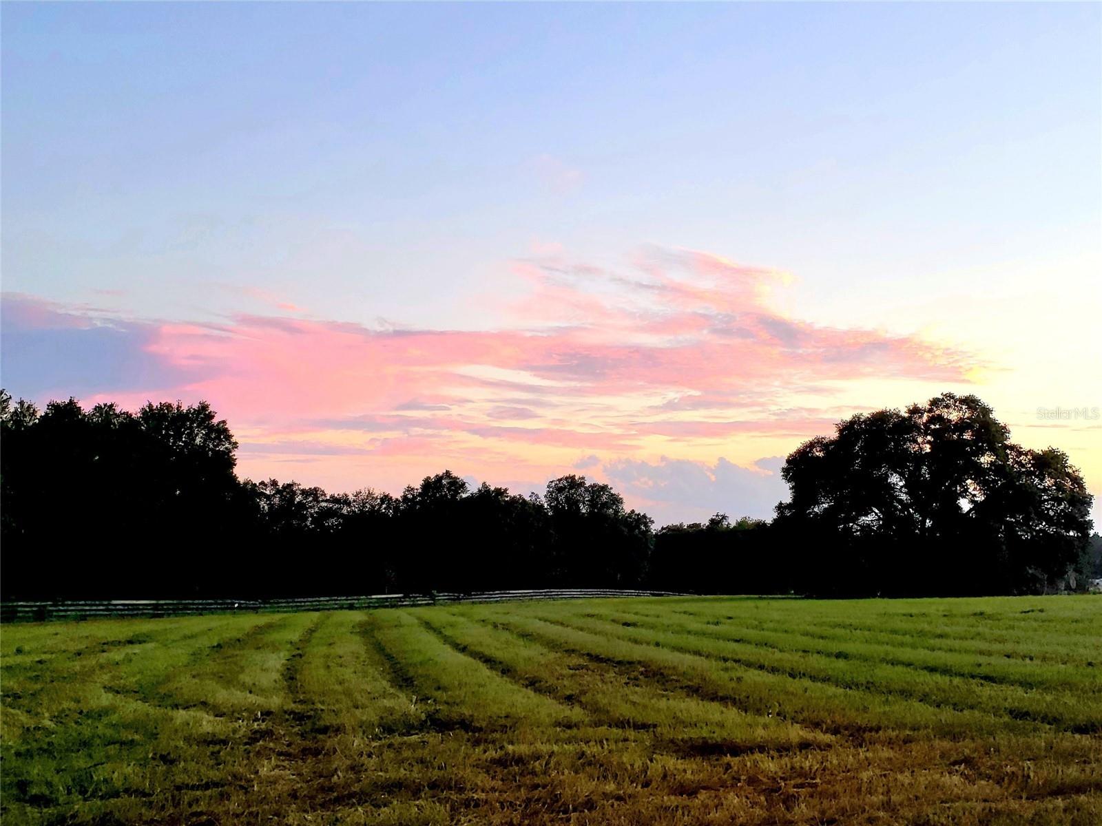 ESTATES AT COTTON PLANT - Land