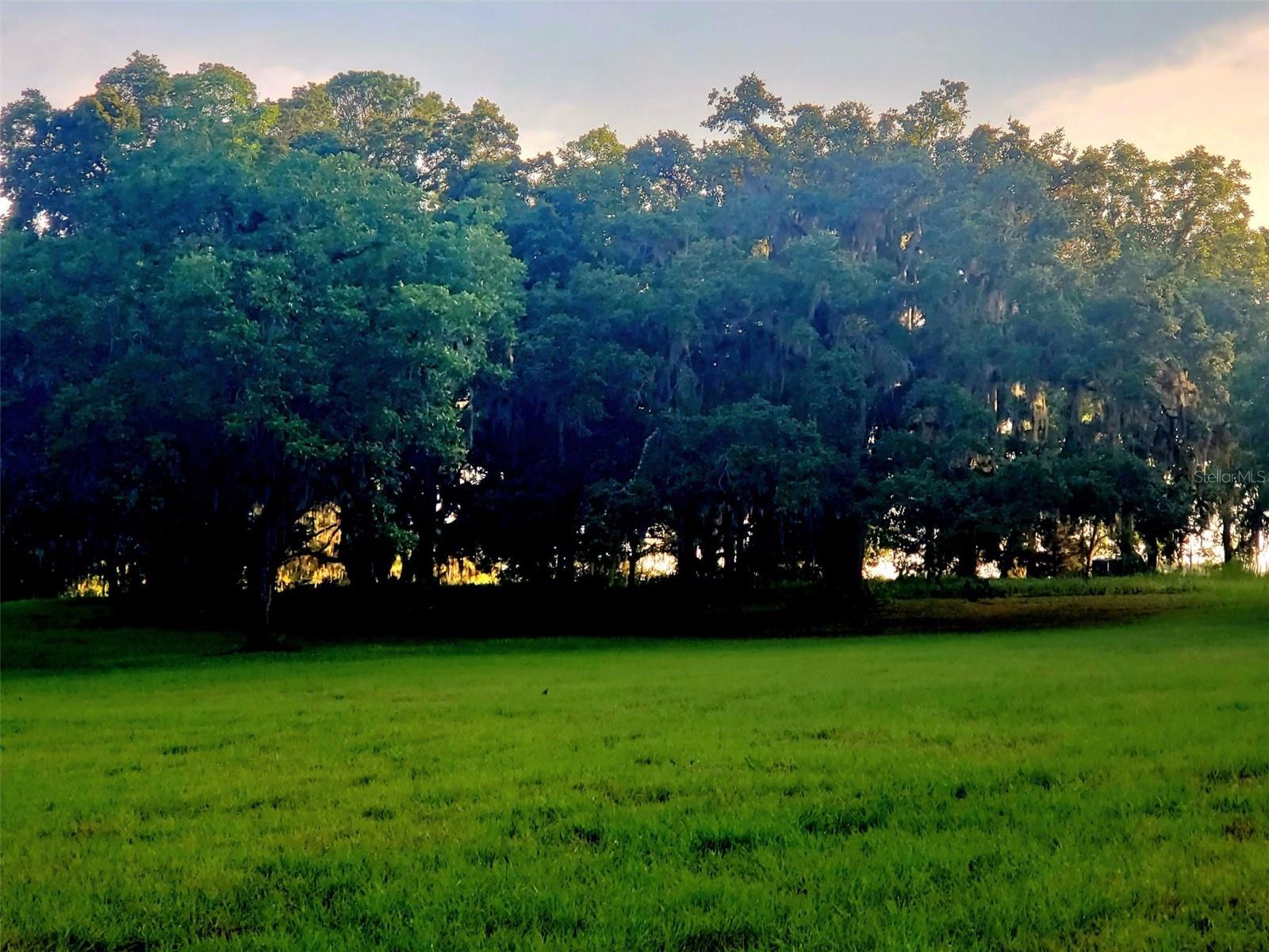 ESTATES AT COTTON PLANT - Land
