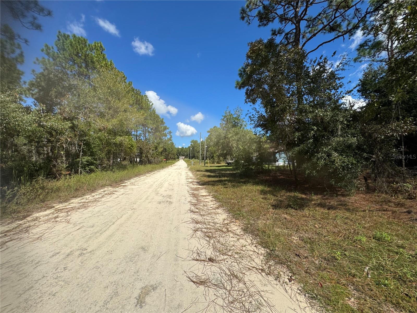 .24 ACRES SUPER BUILDABLE LOT. LOT HAS TREES BUT LEVEL READY TO BUILD YOUR DREAM HOME.
 IN THE UP & COMING NEXT BIG COMMUNITY NEAR THE RAINBOW RIVER WORLD EQUESTRIAN CENTER AND
CRYTALS RIVER ATTRACTIONS.
5 MINS TO GAS & CONVIENENCE STORE TO DR.S' OFFICE, HOSPITALS, SHOPPING, ENTERTAINMENT.
 2.5 MILES FROM HWY 40 EAST WHICH FACILTATES A COMMUNTE TO OCALA, GAINESVILLE,
DUNNELLON ONLY 10 MINS TO HISTORIC VILLAGES SHOPPING ANTIQUES AND BOUTIQUES.
WITHLACOOCHEE AND LAKE ROUSSEAUX BASS FISHING 20MINUTES TO PUBLIC BOAT RAMPS