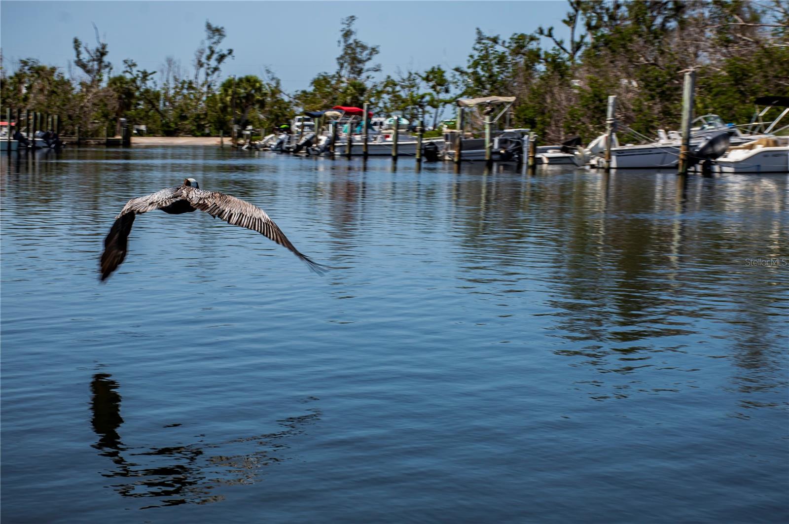 GASPARILLA SHORES - Land