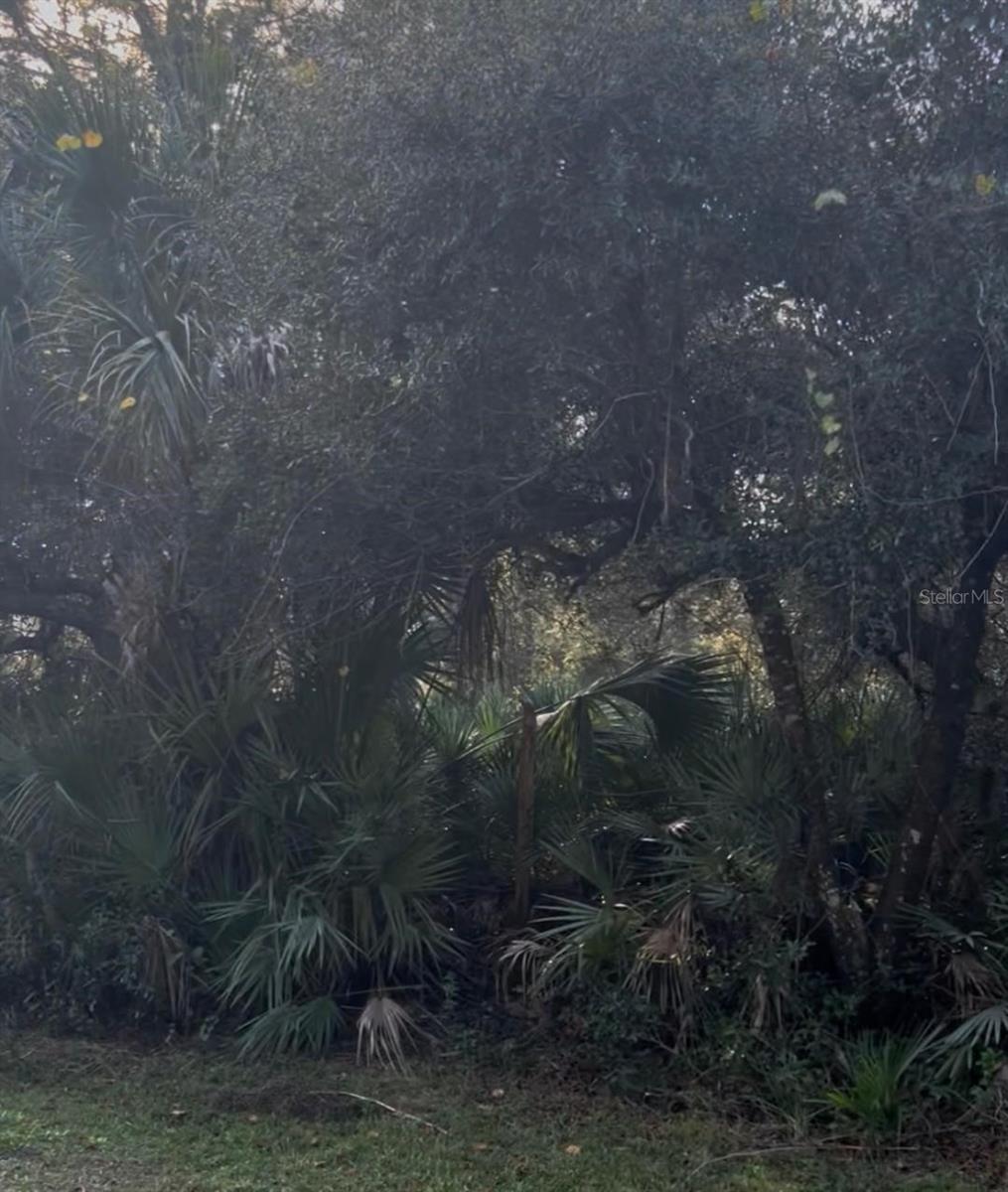 Vacant lot in Christmas, FL for SALE ! Zoning A2 / FARMLAND n RURAL.  Unbuildable, Landlocked, Unimproved Land Zoned A-2. Inaccessible land, no easement to get to it. NOTE: this area is used as hunting grounds. Buyer to verify all measurements, uses and restrictions. Coordinates are:  28.551(lat) -81.0733(lon).  Buyers: we emphasize the importance of conducting thorough due diligence to ensure that the property meets your expectations and requirements.