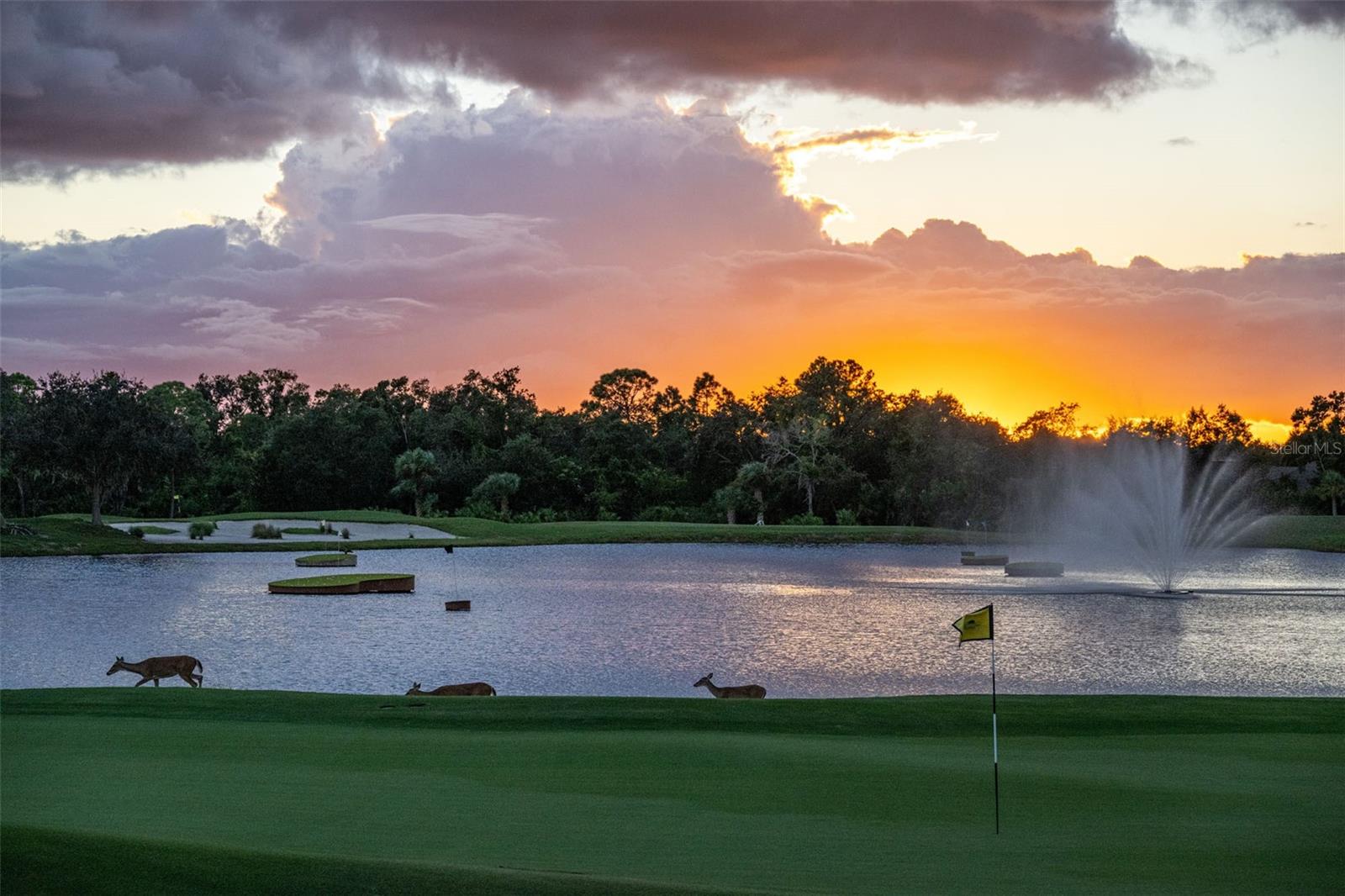 VERANDA 7 AT HERITAGE OAKS - Residential