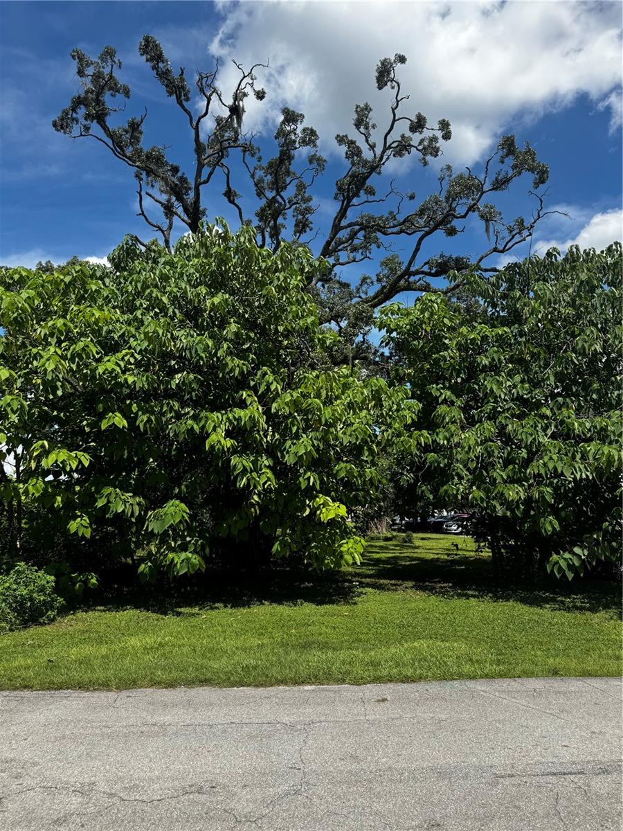 Half-acre B-5 commercial parcel in Ocala's North Magnolia corridor, running the full depth of the block between two paved city streets. Approximately 52 feet of frontage on NW 10th Street (SR 492, 17,100 vehicles per day) at the north end and 105 feet on NW 9th Street at the south, with an active rail line along the west boundary. City of Ocala water, sewer and electric are at the street. B-5 Wholesale Business zoning allows a broad range of commercial, warehouse and service uses; buyer to verify intended use and driveway permitting with the City and FDOT. The parcel sits inside the North Magnolia Community Redevelopment Area, a state-designated Brownfield Area and a federal Opportunity Zone, so redevelopment incentives may apply. Level and wooded, no structures. Flood Zone AE. Two blocks from US 441/301 and about ten minutes to I-75.