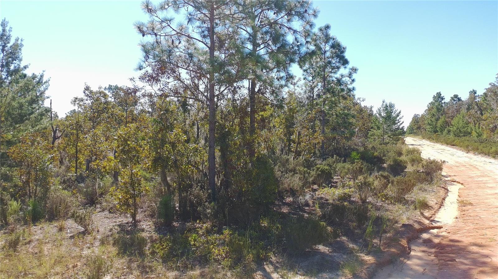 LAKE LUCY VILLAGE - Land