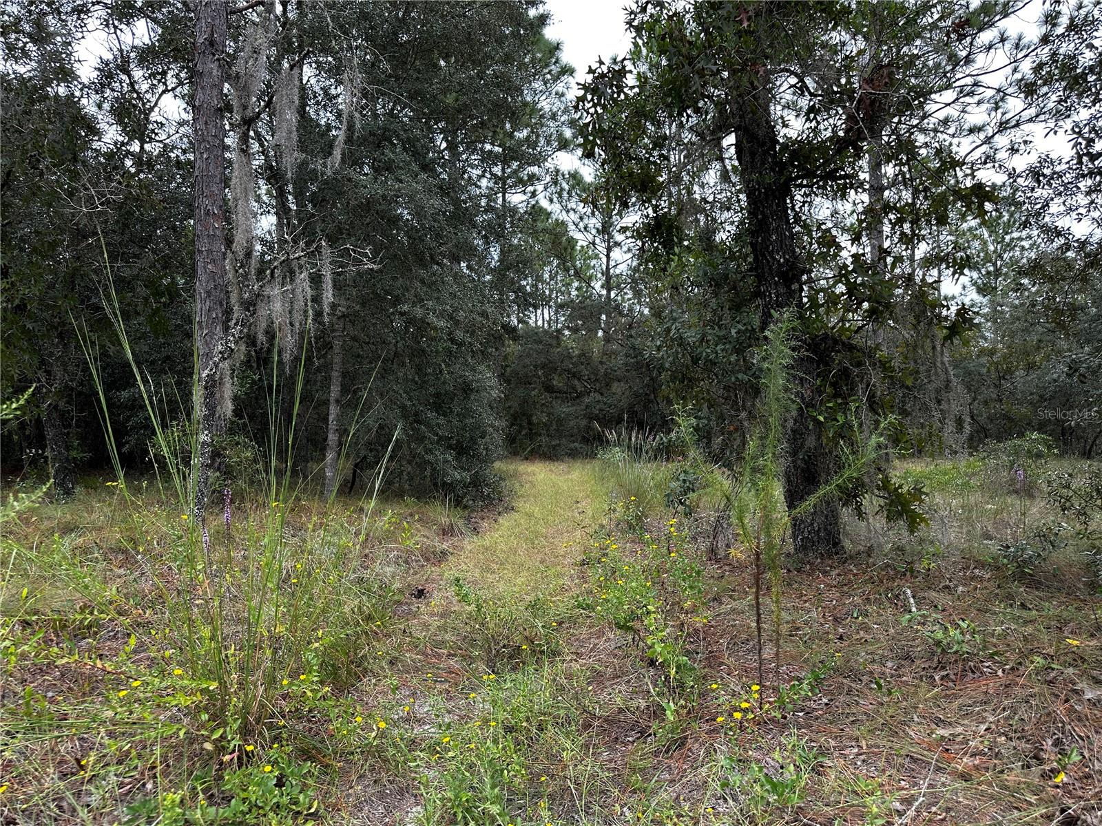 RAINBOW LAKES ESTATE - Land