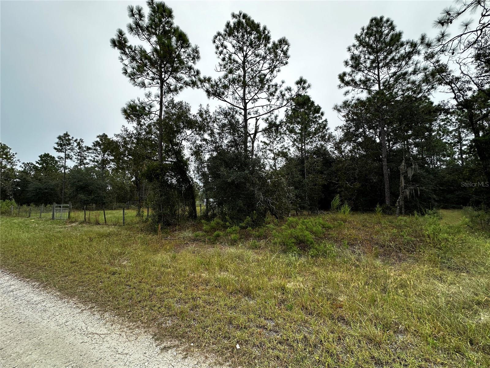 RAINBOW LAKES ESTATES 1/4 ACRE BUILDING LOT. JUST REDUCED, MEET US IN THE MIDDLE! Build your dream home or secure a smart investment with this beautiful .25 acre homesite in the desirable Rainbow Lakes Estates community of Levy County. Nestled in a peaceful, rural setting, this property offers the perfect balance of privacy and convenience with plenty of room for a custom home while enjoying Florida's natural beauty. Located just a short drive from Rainbow Springs State Park, the Rainbow River, and the charming town of Dunnellon, where you'll have easy access to shopping and dining. Whether you're looking to build now or invest for the future, this affordable parcel offers an excellent opportunity in one of North Central Florida's growing communities.