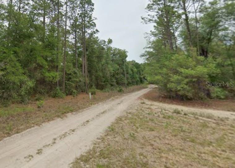 Double lot in Rainbow Estates community. This listing includes two abutting properties being sold together. Close proximity to Lake Rousseau and Crystal River. Corner lots that are ready to build or enjoy the natural privacy and peace of the wilderness.