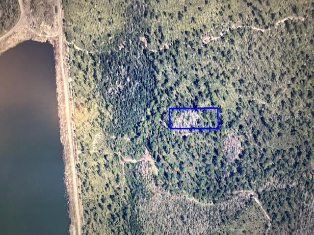 ATTENTION !!! HERE'S THAT CHRISTMAS GIFT FOR THE KIDS AND THE GRANDS !!!  BEAUTIFULLY WOODED LAND LOCATED IN ORLANDO FLORIDA. LONG-TERM CAPITAL APPECIATION, A LAND BANK STRATERGY. SELLER HAS ANOTHER LIKE PARCEL IN THE SAME AREA IF INTERESTED. ALL INFORMATION DEEMED RELIABLE BUT NOT GUARANTEED AND SHOULD BE VERIFIED BY BUYER.


A