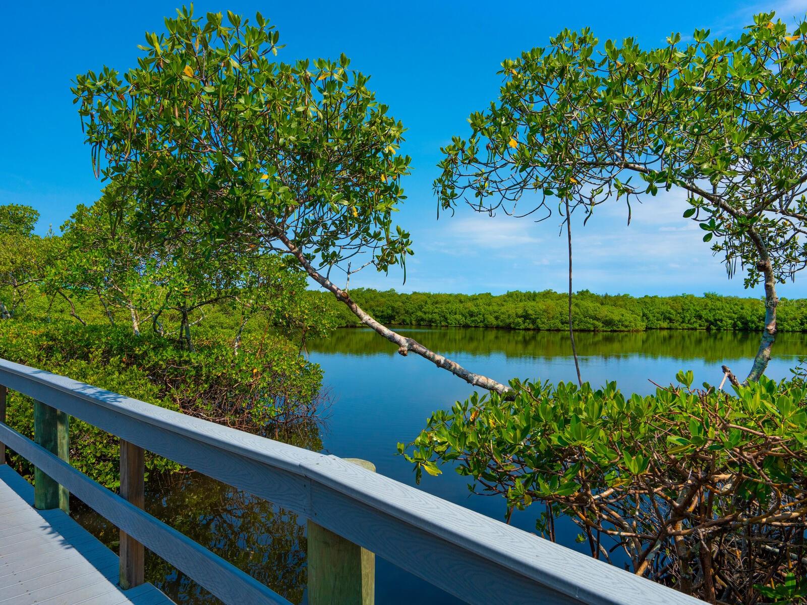 EAGLES POINT AT THE LANDINGS 2 - Residential