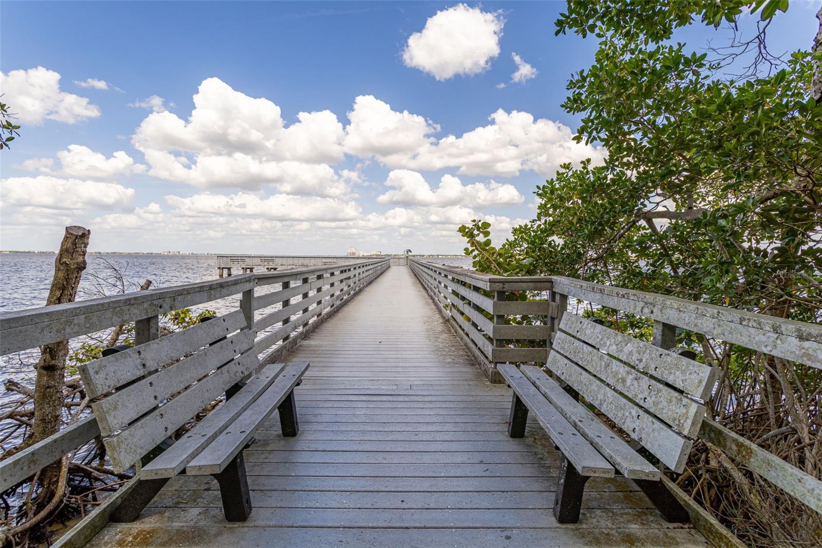 CAPE CORAL - Land