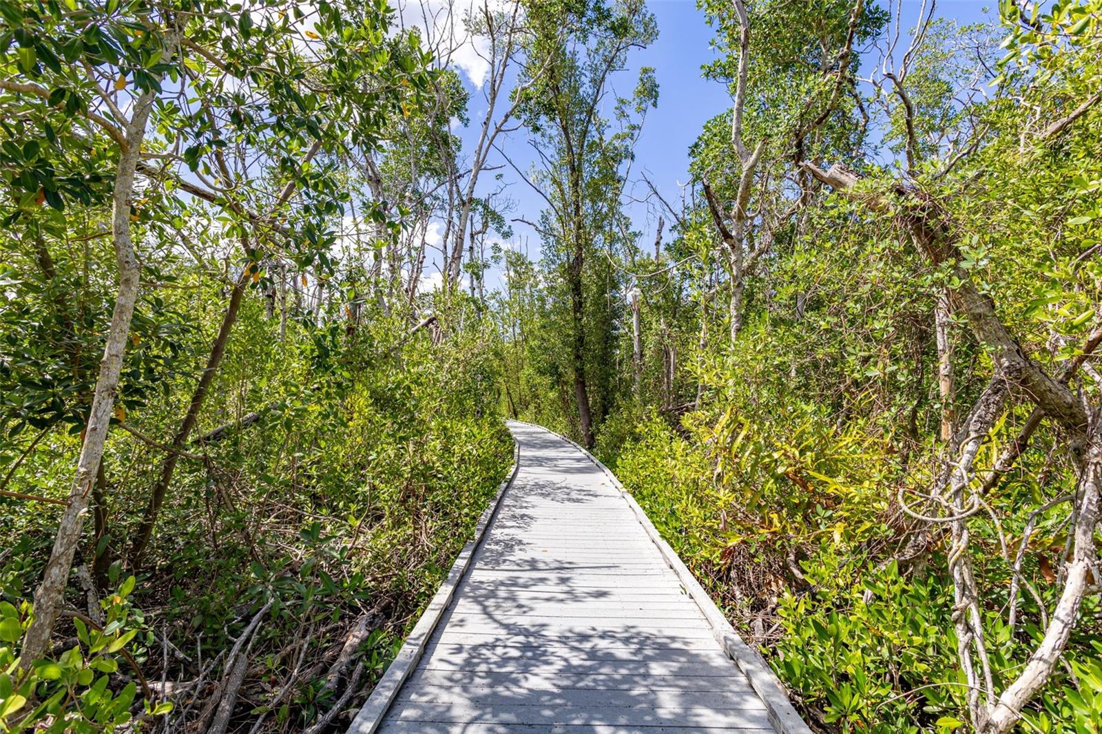 CAPE CORAL - Land