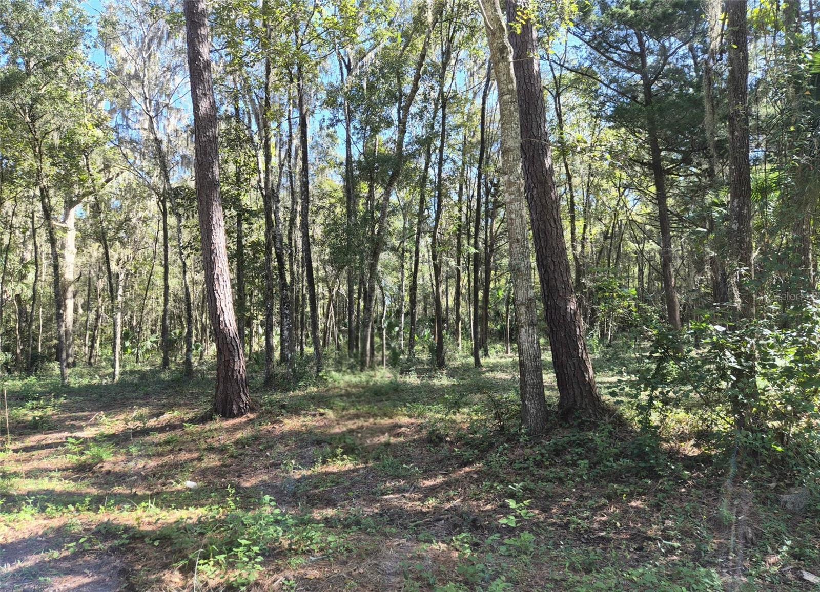 Discover an excellent opportunity to own vacant land in the rapidly growing Ocala area, perfect for building the home you’ve always envisioned. Whether you prefer to construct a custom site-built home or place a manufactured home, this lot offers the flexibility and freedom you need. There are two additional adjacent lots available, each approximately 0.25 acres, giving you the option to expand your space, invest, or create a multi-lot project. With development booming in this part of Marion County, securing land here is a smart move for both homeowners and investors. Don’t miss this opportunity to own land in one of Florida’s fastest-growing regions.