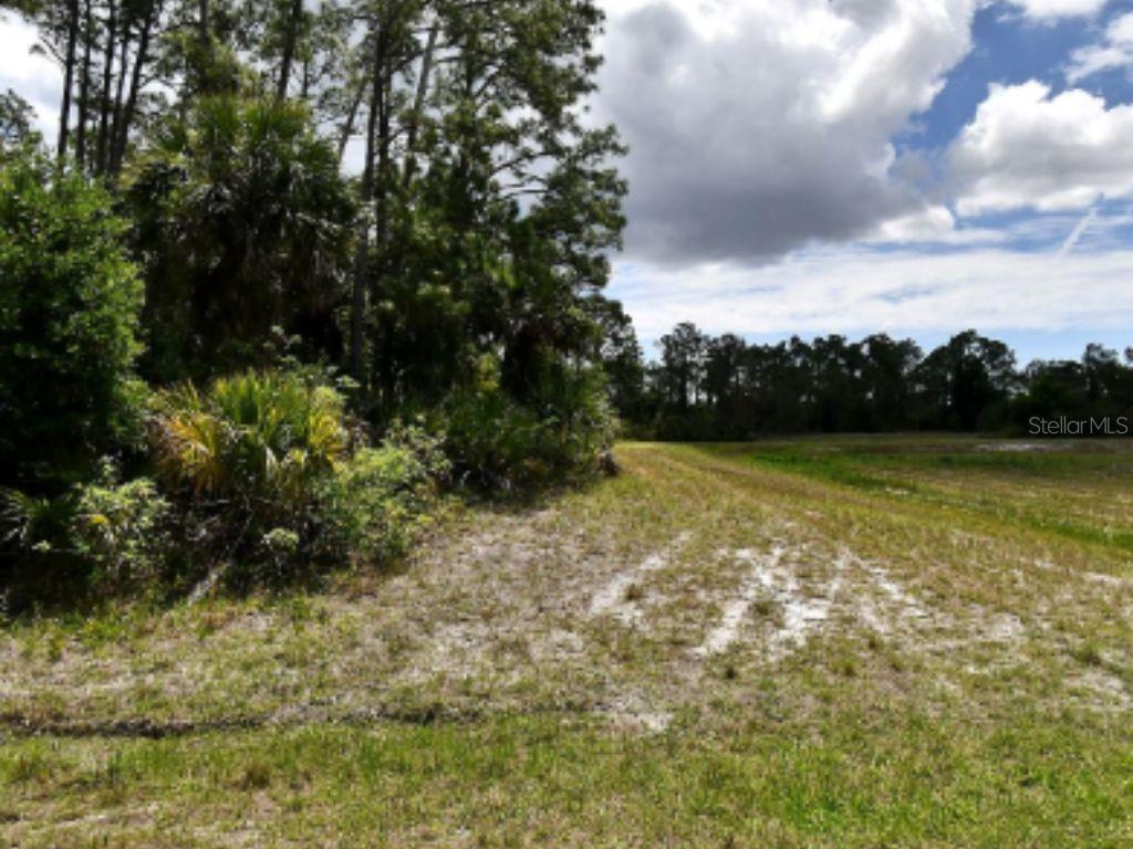 11,577 sq ft vacant lot in North Port's 45th Addition (Lot 7, Block 2169). Flexible AC-10 (Activity Center 10) mixed-use zoning — one of the city's most versatile designations, opening the door to a wide range of commercial and residential possibilities. Verified not on the City of North Port Scrub Jay list, so no federal habitat review to slow your plans. Set among established neighborhoods with easy access to the Price Boulevard corridor, I-75, shopping, dining, and schools. Offered at $12,500 — or pair it with the similar Newman Drive lot (10,221 sq ft, same subdivision and zoning) for a bundled $22,500. Well and septic area; buyer to verify utilities and intended use with the City of North Port during due diligence.
