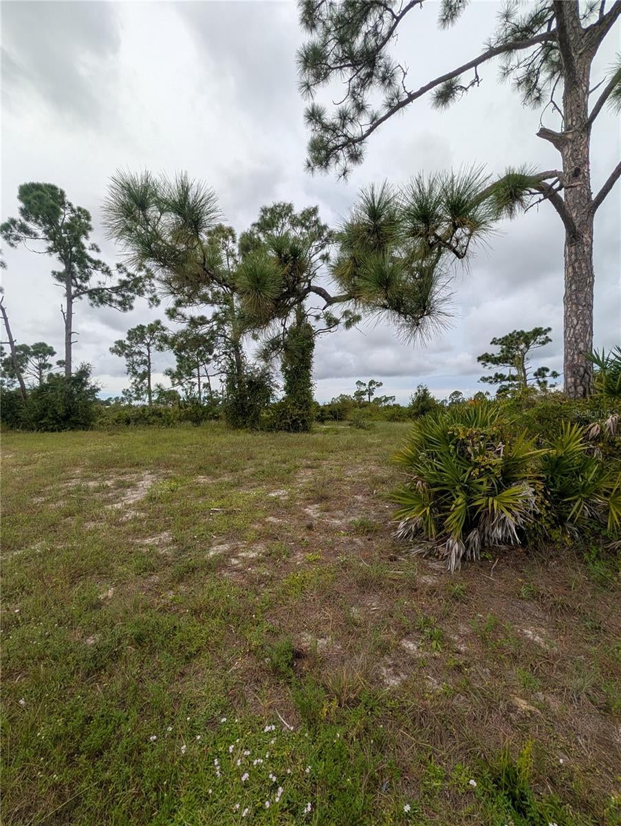 ROTONDA SANDS - Land