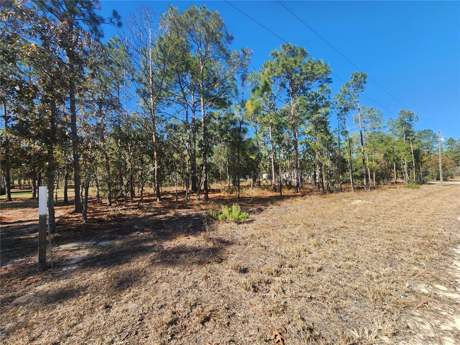 Incredible opportunity to build the home of your dreams! 1.09 acres partially clean. Excellent prime location in the coveted MONTURA RANCH ESTATES subdivision, Just 1 hour from West Palm Beach, 2 hours from Miami, near Lake Okeechobee with world-renowned fishing, sportsman's paradise, less than 1 mile from the Montura Ranch community pool and clubhouse with picnic areas and playgrounds. Beautiful high and dry corner lot, where you can have animals in the following way: 3 large animals in total (cow, horse or donkey), 4 medium animals in total (goats, sheep or pigs) and 15 small animals (chickens, ducks, geese or turkeys); with paved front street, Electricity accessible to the property. Partial tree coverage in corners to provide shade, excellent land for homes, mobile homes and manufactured homes. Come see this beautiful lot that will not last long on the market. Owner financing available