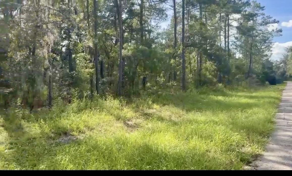 Your search for the perfect lot to build your dream home stops here. This 1.29-acre vacant parcel is located in Marion Oaks Unit 06, one of the largest and most established subdivisions in Ocala. The property sits on paved roads and is surrounded by existing homes, offering a comfortable neighborhood setting with plenty of space to design exactly what you envision. With easy access to SR 484, I-75, and nearby equestrian venues, you’ll enjoy convenience while still having the freedom to create your ideal property. Whether you’re planning a custom residence, workshop, garden oasis, or future expansion, this oversized lot provides the flexibility to bring your ideas to life. Let your imagination run wild — the possibilities are endless. And best of all, it’s offered at a fantastic price.
