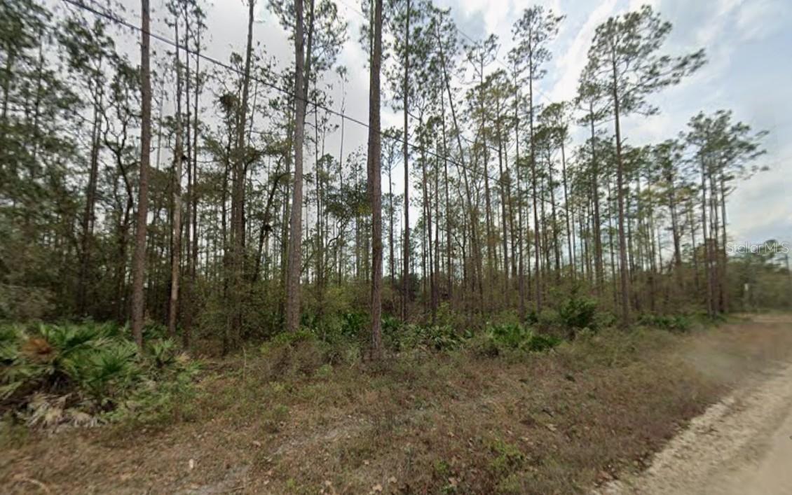 INTERLACHEN LAKES ESTATES - Land