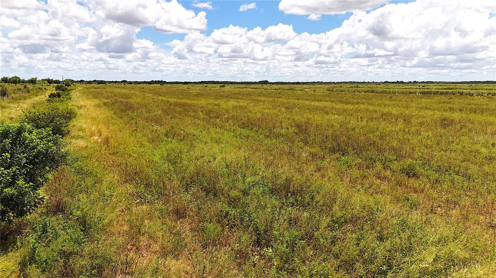 Welcome to 5595 1st Rd, LaBelle, FL 33935—an exceptional opportunity to acquire 40 acres of high-and-dry, cleared land in the renowned Gerber Groves community. Steeped in Hendry County’s rich agricultural heritage as a former commercial citrus grove, this fertile, versatile acreage has been fully cleared and prepared for its next chapter. Available as a full 40-acre assemblage or as smaller, subdivided parcels to fit your exact vision and budget, this property offers unmatched flexibility for commercial growers, land investors, and custom estate builders. This property is zoned Ag-2, which allows for agricultural or residential use. Bordered by a functional district canal system, providing direct water drainage and convenient surface water drawing capabilities for agricultural irrigation. Situated within the Gerber Groves Water Control District with maintained access roads and nearby electric service lines ready for connection. Located behind private roads monitored by a security guard to eliminate trespassing, this property offers peace of mind and true privacy. The property is within the Gerber Groves Water Control District and subject to an annual district assessment collected on the annual property tax bill. These funds directly maintain the area's canal systems, private roads, and district security. Enjoy the best of peaceful, sun-drenched rural living in Southwest Florida’s agricultural heartland while remaining just a short drive from State Road 80, downtown LaBelle, Fort Myers, and Gulf Coast amenities.