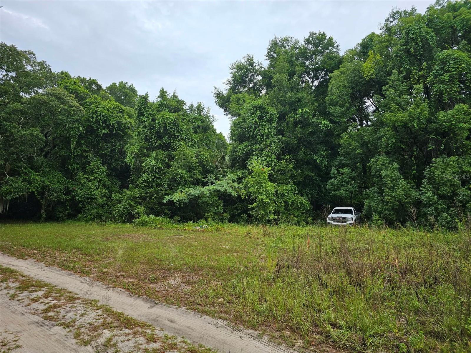 Exceptional opportunity to secure a premium home site in the serene and rapidly developing Lake Weir area of Ocklawaha. This oversized parcel offers the perfect canvas for a custom luxury residence, private retreat, or strategic investment. Surrounded by natural beauty and located near Lake Weir, this property combines privacy with proximity to Ocala's shopping, dining, and growth corridor. As development continues to expand in the area, land of this size and location presents strong long-term appreciation potential. Whether you're a builder, investor, or future homeowner, this is a rare chance to acquire land with both lifestyle appeal and financial upside.