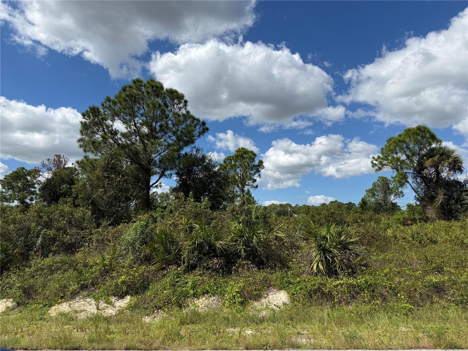 LEHIGH ACRES - Land