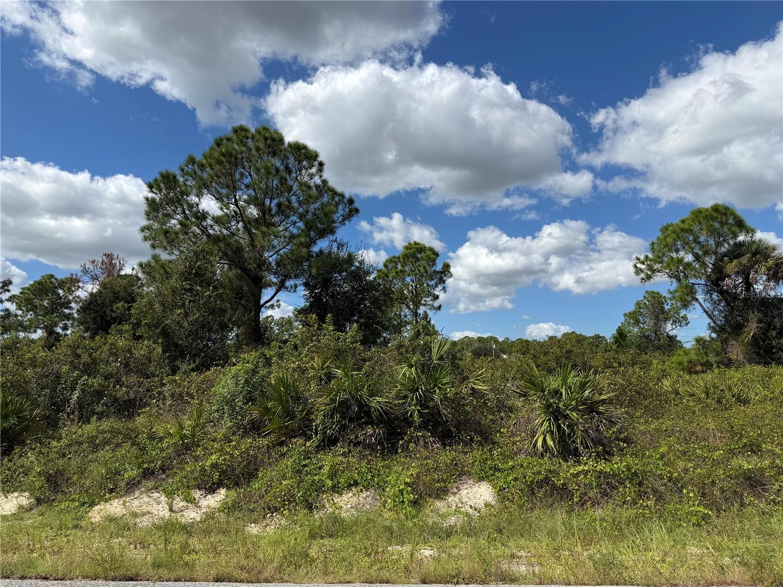 LEHIGH ACRES - Land