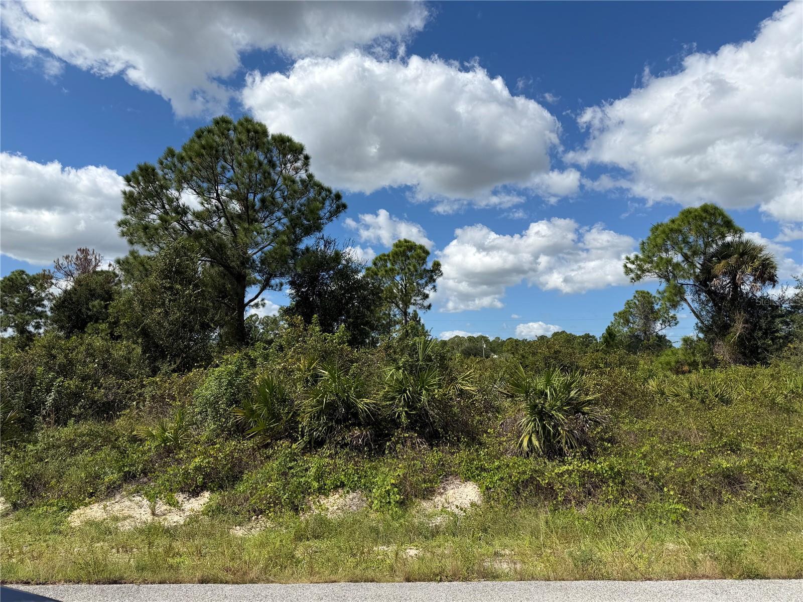 LEHIGH ACRES - Land