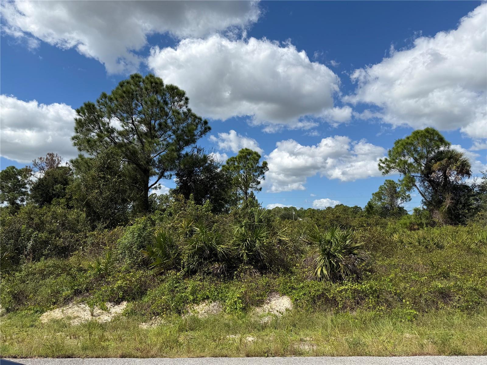 LEHIGH ACRES - Land
