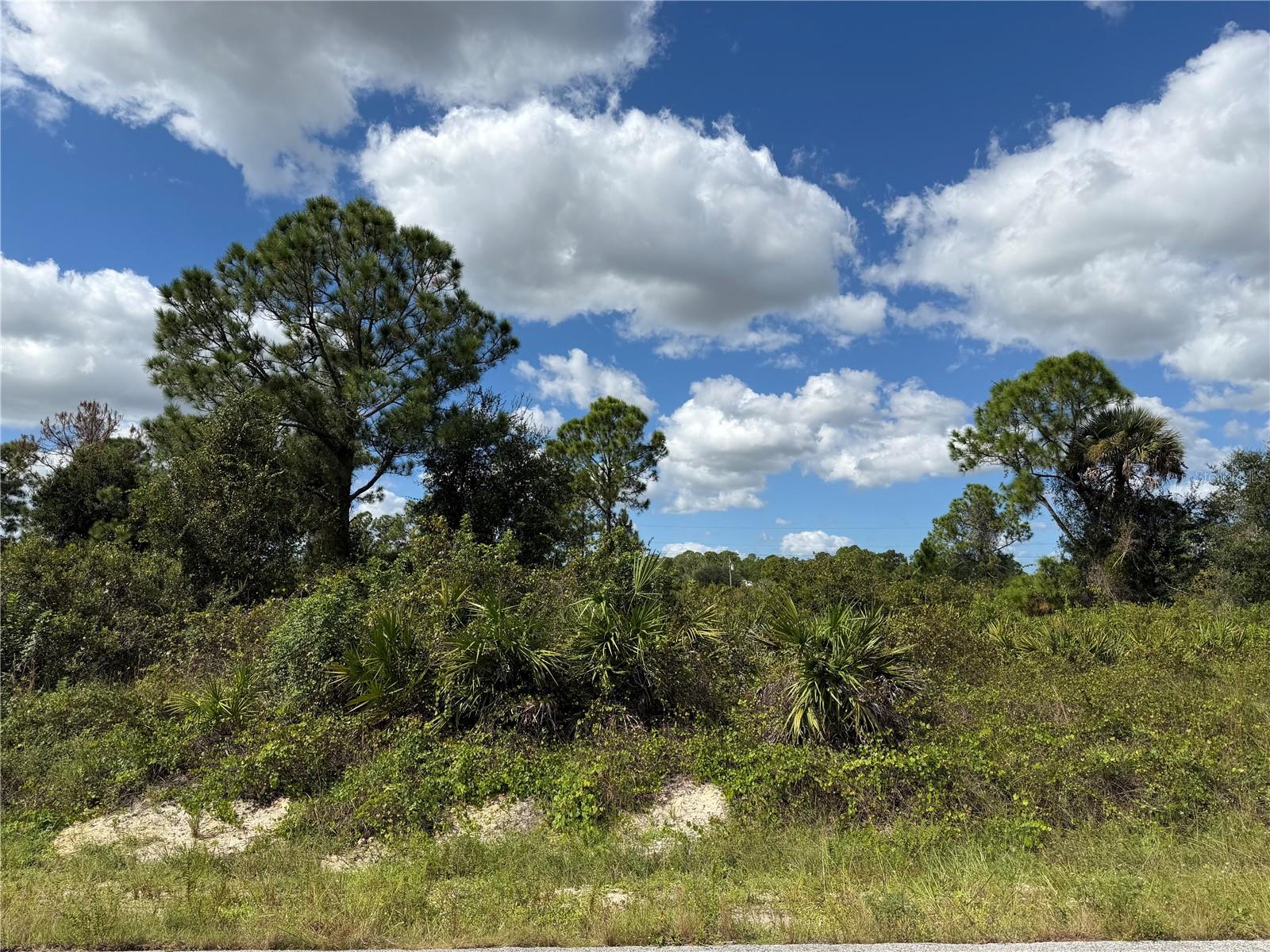 LEHIGH ACRES - Land