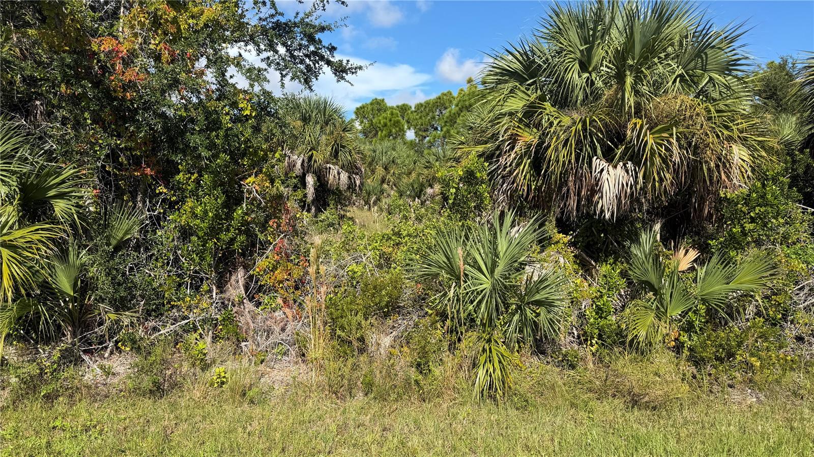 PORT CHARLOTTE SEC 071 - Land