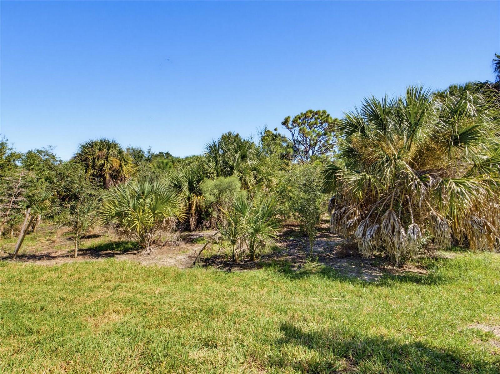 BEACHWALK BY MANASOTA KEY PH 1 - Residential
