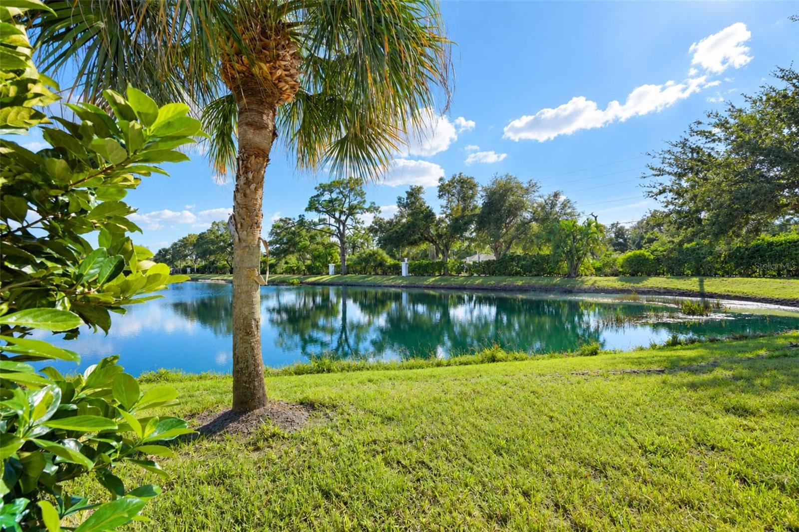 OAK FOREST PH 1 - Residential