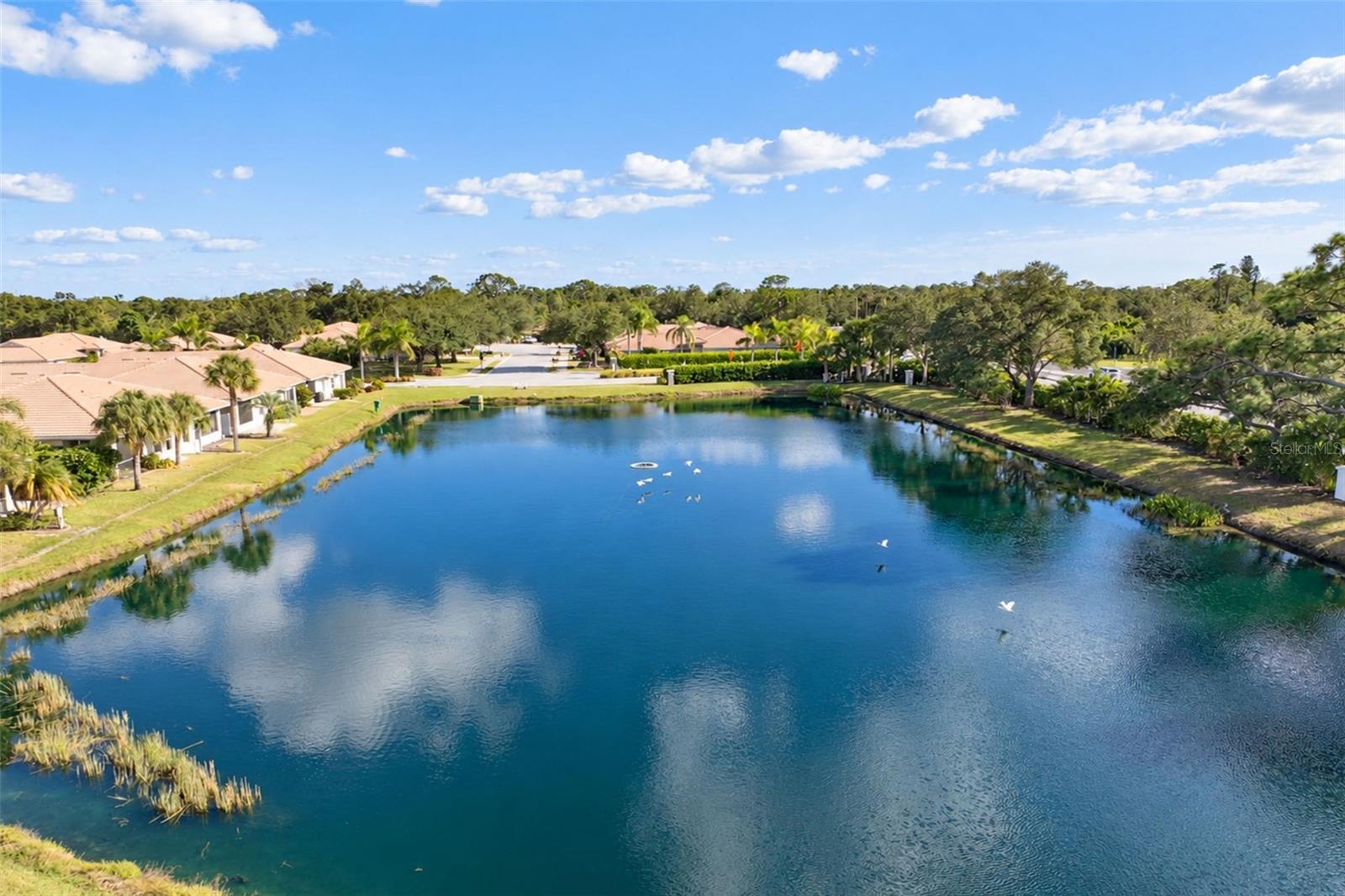 OAK FOREST PH 1 - Residential