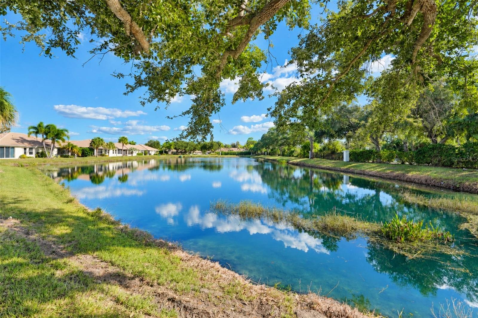 OAK FOREST PH 1 - Residential