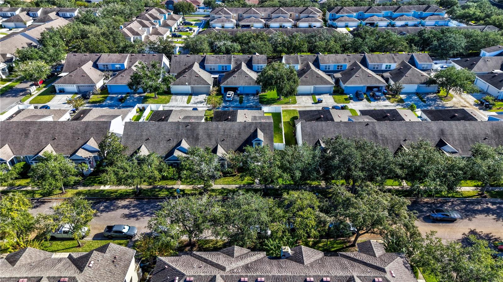 AVALON PARK VILLAGE 06 - Residential